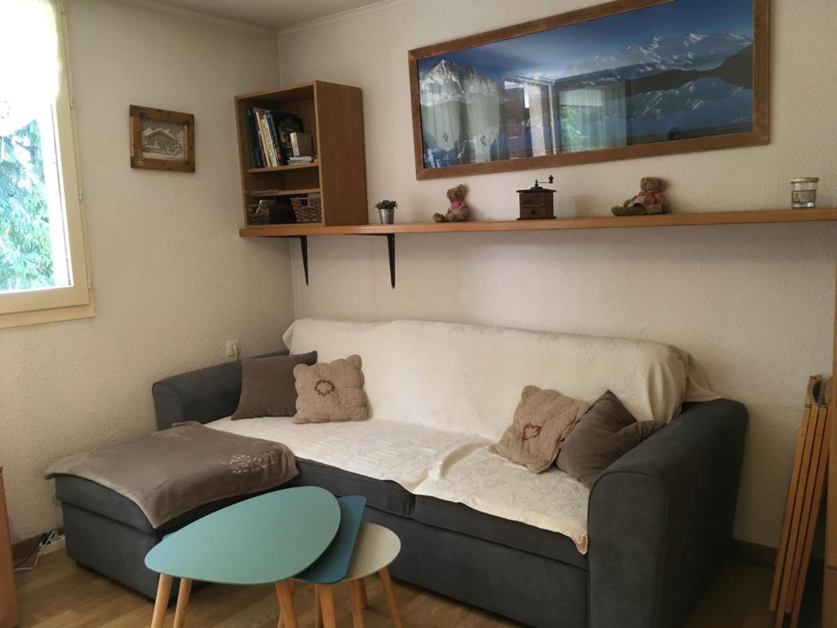 Appartement Chamonix Face Au Mont Blanc 외부 사진
